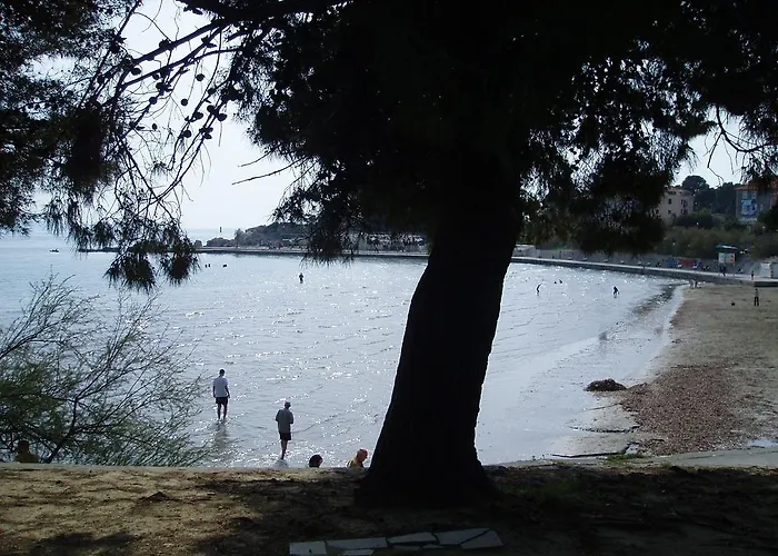 아파트먼트 바나